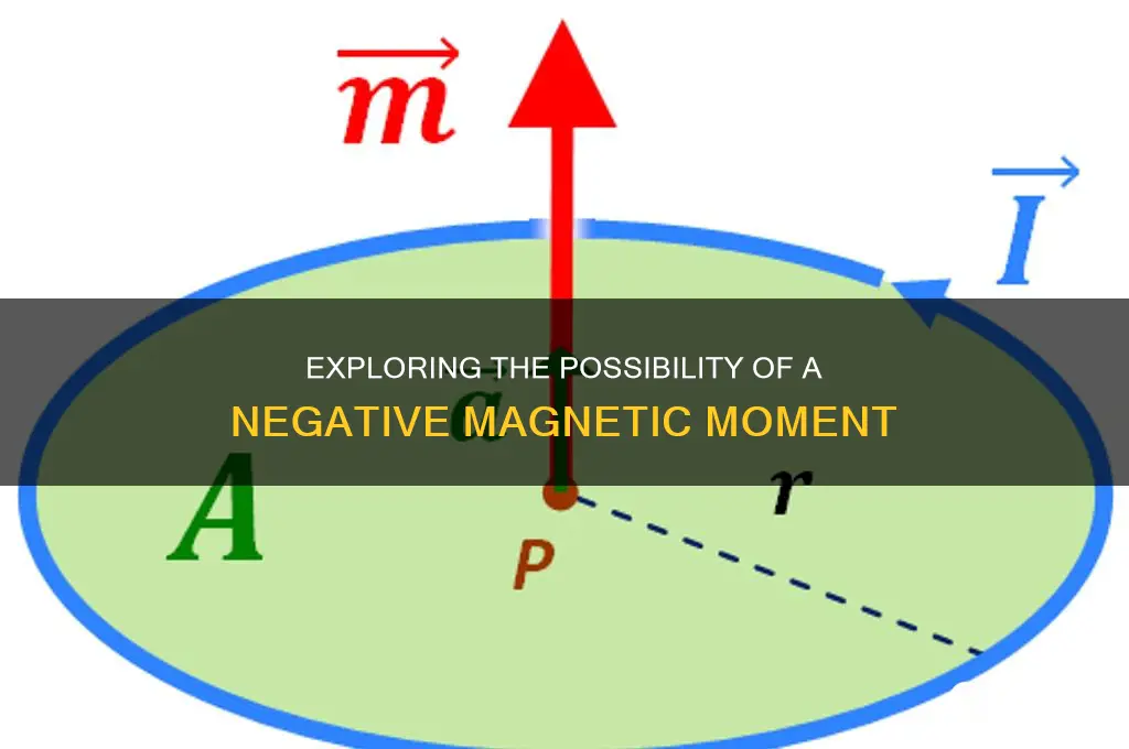 can magnetic moment be negat