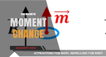 Exploring Magnetic Moment: Can Its Strength and Direction Change?