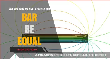 Can Disk and Bar Magnetic Moments Ever Be Equal? Exploring Possibilities