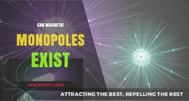 Exploring the Mystery: Can Magnetic Monopoles Exist in Reality?