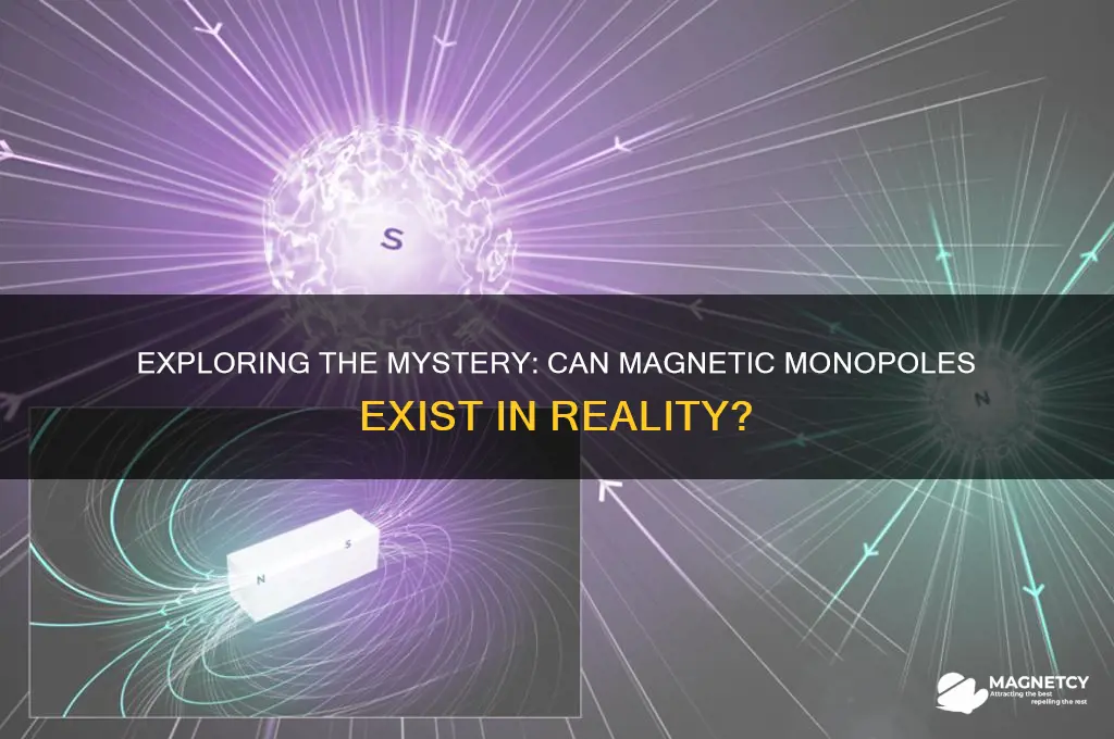 can magnetic monopoles exist