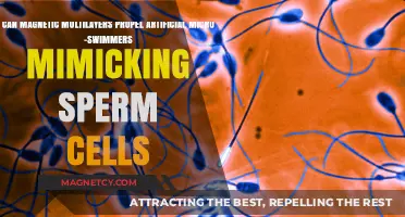 Magnetic Multilayers: Powering Sperm-Mimicking Micro-Swimmers for Advanced Biotech