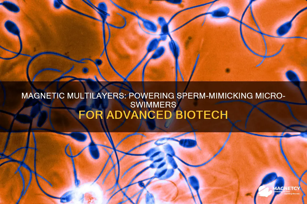 can magnetic multilayers propel artificial micro-swimmers mimicking sperm cells
