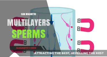 Magnetic Multilayers: Unlocking New Possibilities in Sperm Manipulation?
