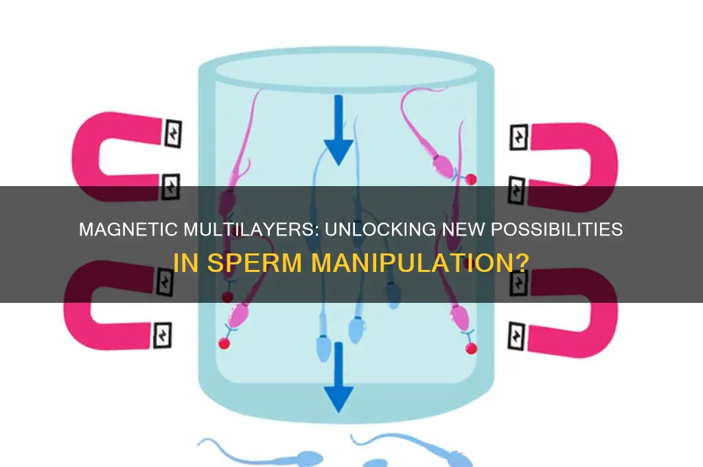can magnetic multilayers sperms