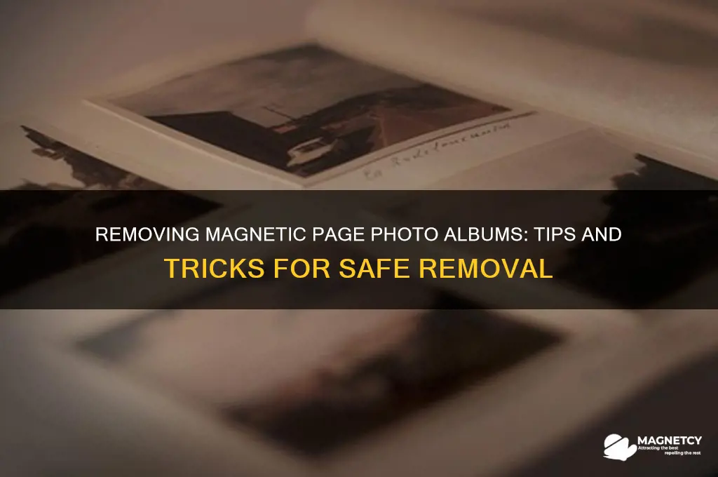 can magnetic page photo albums be removed