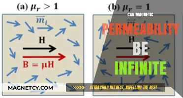 Exploring Infinite Magnetic Permeability: Possibility or Physical Limitation?