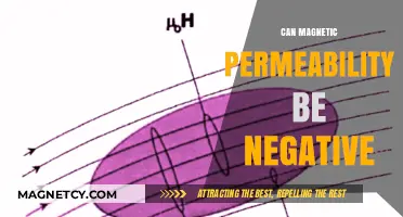 Exploring Negative Magnetic Permeability: Possibility, Materials, and Implications