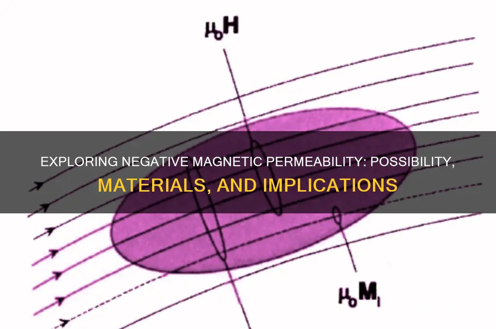 can magnetic permeability be negative