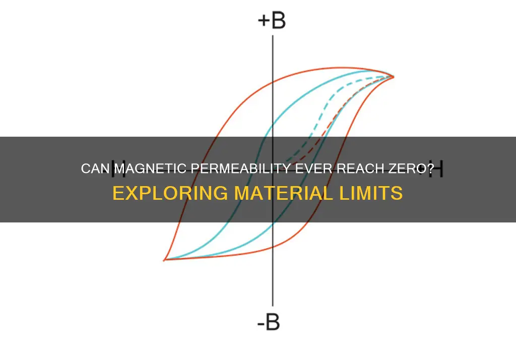 can magnetic permeability ever be equal to zero