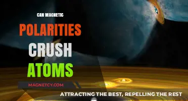 Magnetic Polarities and Atomic Forces: Can Atoms Be Crushed?