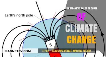 Magnetic Poles and Climate Change: Unraveling the Earth's Hidden Connection