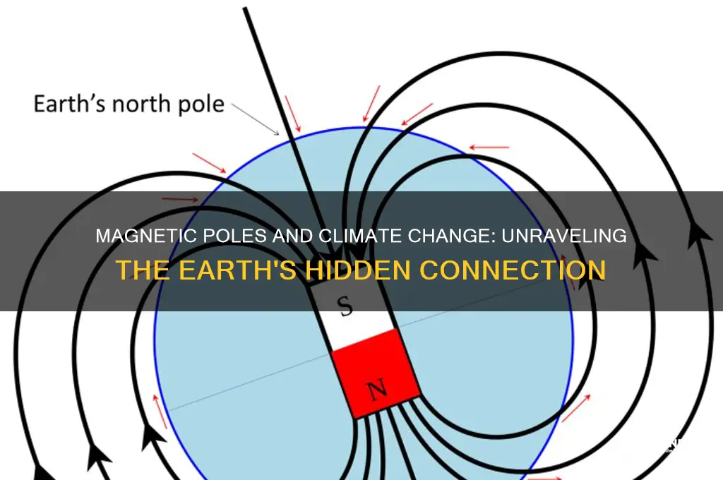 can magnetic poles be cause of climate change