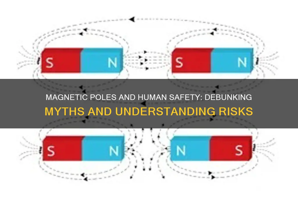 can magnetic poles can killl us