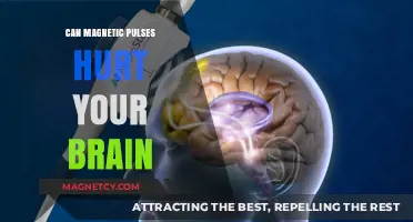 Magnetic Pulses and Brain Safety: Separating Fact from Fiction