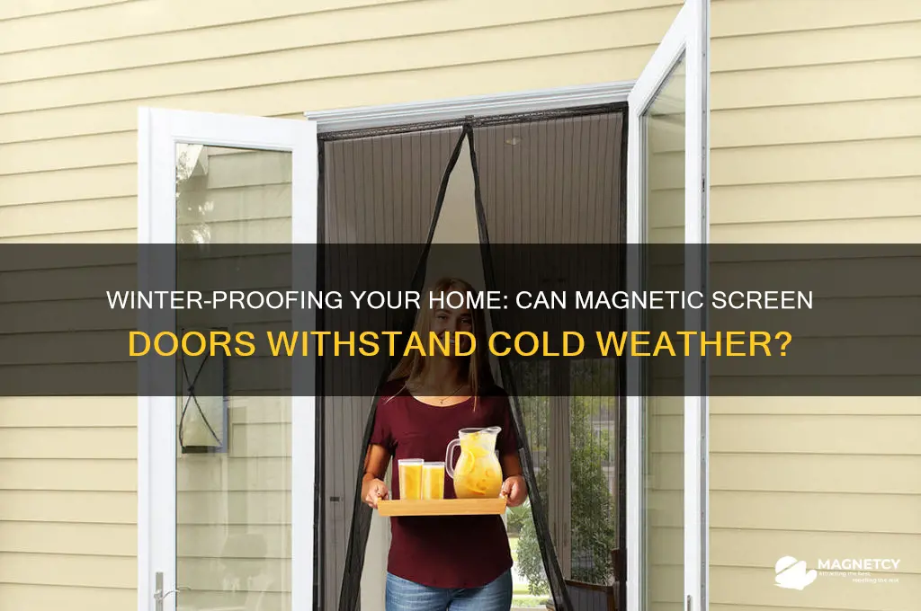 can magnetic screen doors be left out in winter