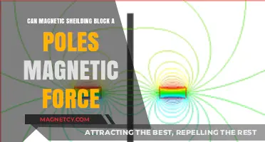 Can Magnetic Shielding Block a Pole's Magnetic Force?