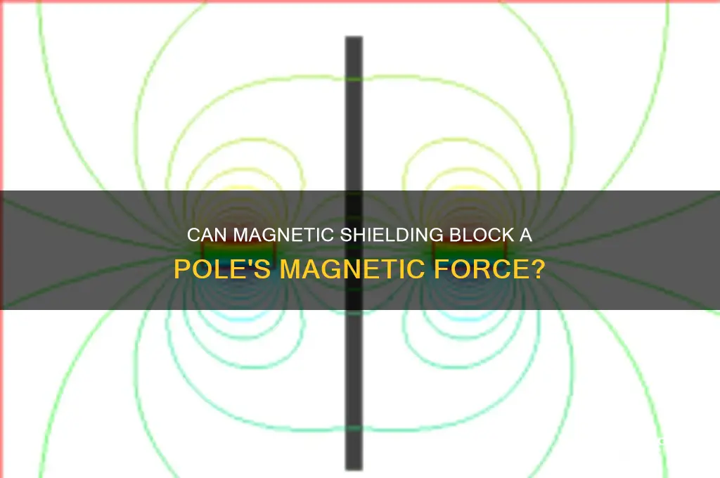 can magnetic sheilding block a poles magnetic force