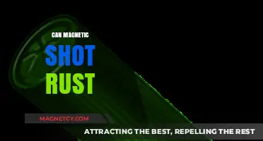 Can Magnetic Shotgun Slugs Rust? Exploring Durability and Maintenance Tips