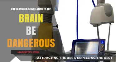Brain Magnetic Stimulation: Potential Risks and Safety Concerns Explored