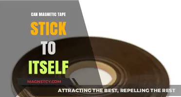 Can Magnetic Tape Stick to Itself? Exploring Self-Adhesion Properties