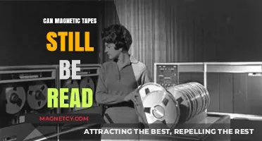 Reviving Old Data: Can Magnetic Tapes Still Be Read Today?