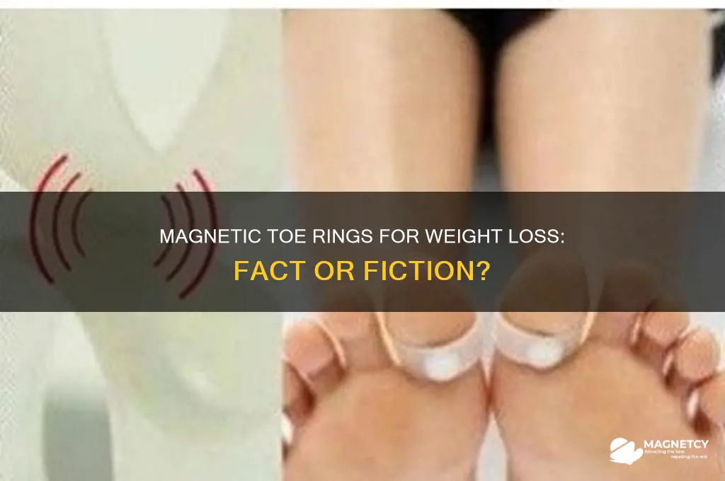 can magnetic toe rings help you lose weight