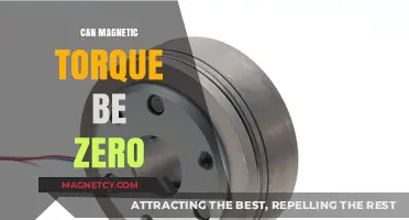 Can Magnetic Torque Ever Be Zero? Exploring the Conditions