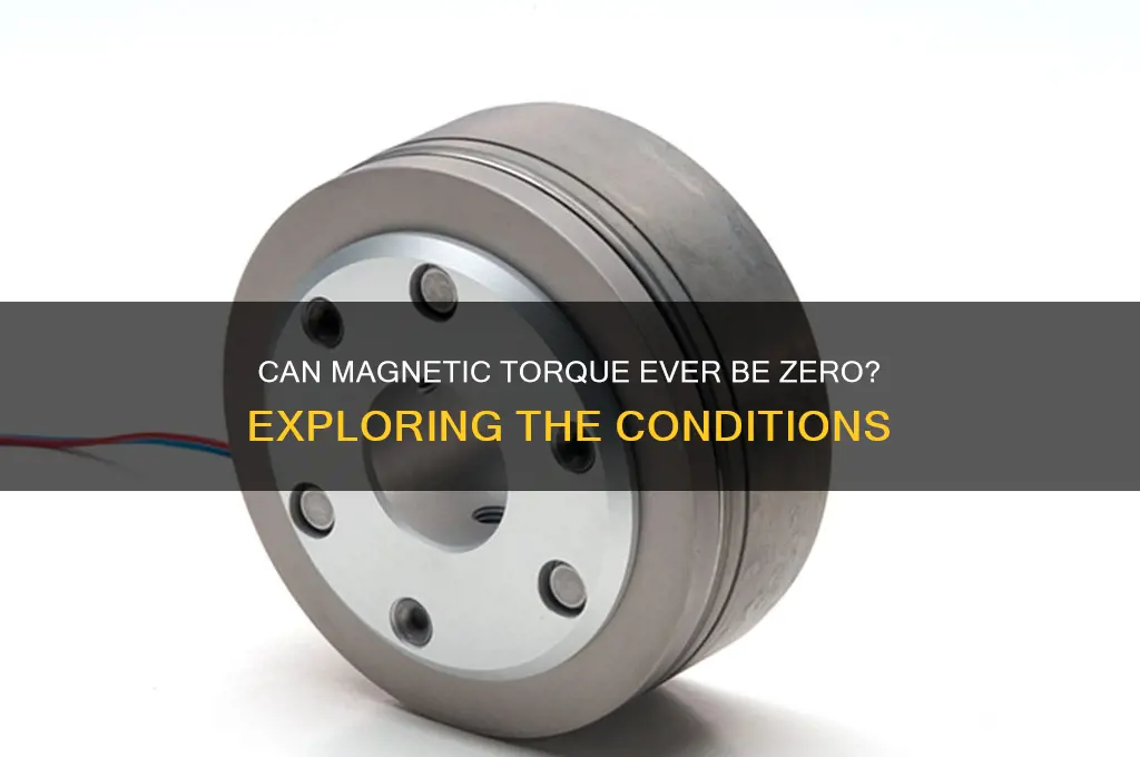 can magnetic torque be zero