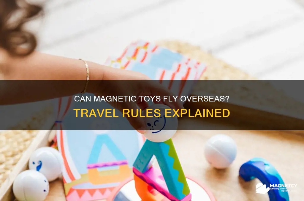 can magnetic toys be taken on an oversea flight