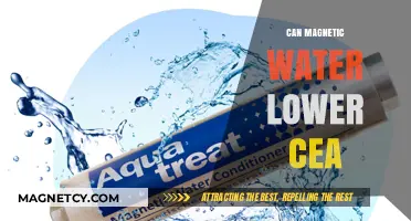 Magnetic Water's Potential Impact on Lowering CEA Levels Explored