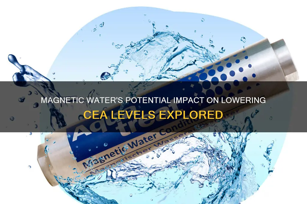 can magnetic water lower cea