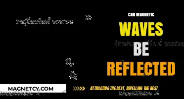 Can Magnetic Waves Be Reflected? Exploring Reflection and Behavior