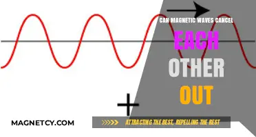 Can Magnetic Waves Cancel Each Other Out? Exploring Wave Interference