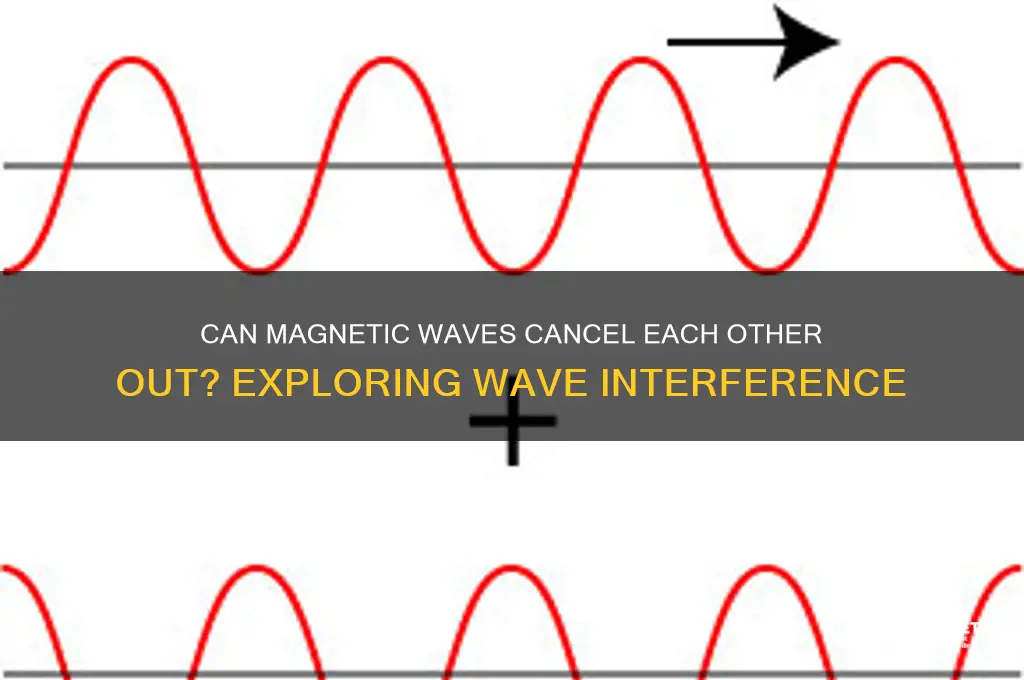 can magnetic waves cancel each other out