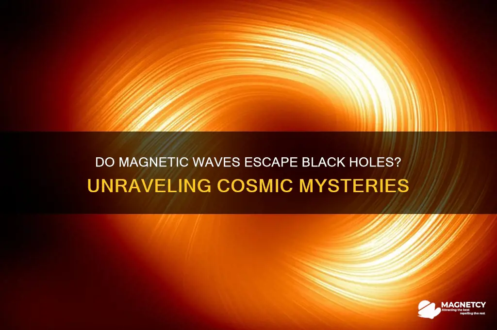 can magnetic waves escape a black hole