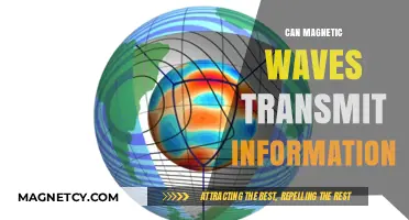 Exploring Magnetic Waves: Can They Transmit Data Effectively?