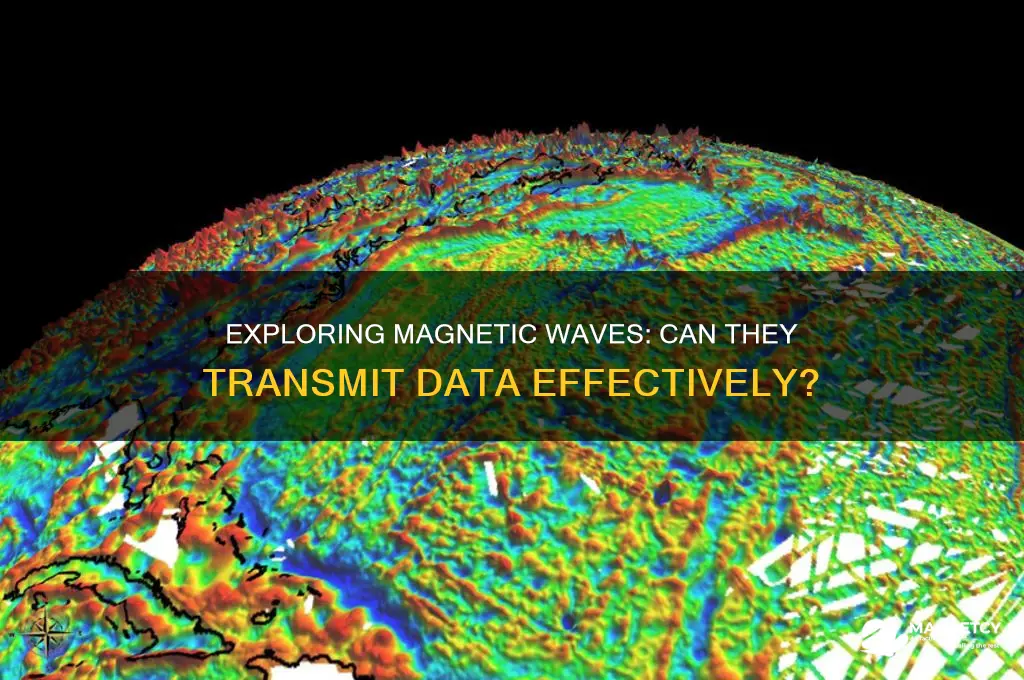 can magnetic waves transmit information
