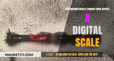 Magnetic Charging of Iron: Impact on Digital Scale Accuracy Explored
