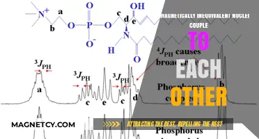 Magnetic Inequivalence: Exploring Nuclear Coupling Interactions and Mechanisms