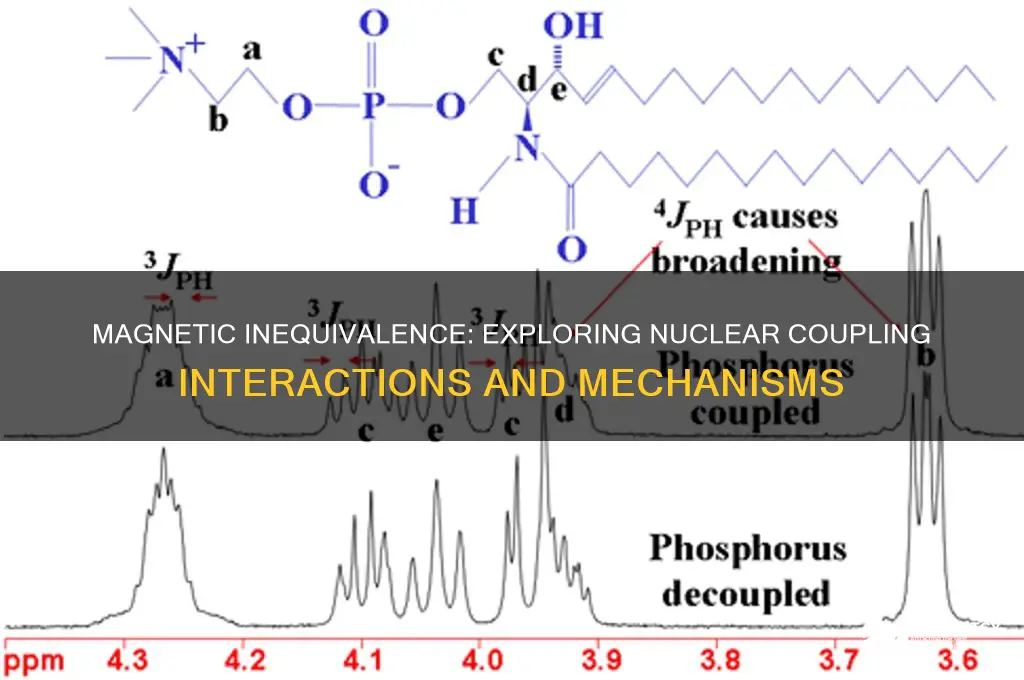 can magnetically inequivalent nuclei couple to each other