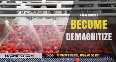 Can Magnets Lose Their Power? Understanding Demagnetization Risks
