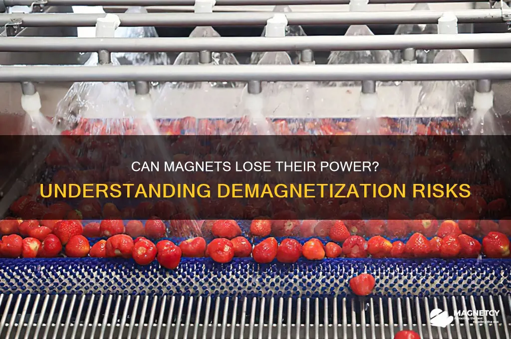 can magnetics become demagnitized