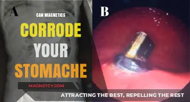 Can Magnetics Cause Stomach Corrosion? Unraveling the Myths and Facts