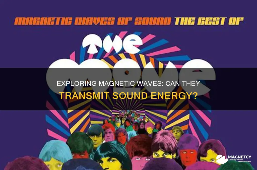 can magnetics waves carry sound