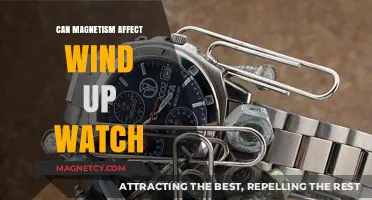 Magnetism's Impact on Wind-Up Watches: Facts and Myths Explained