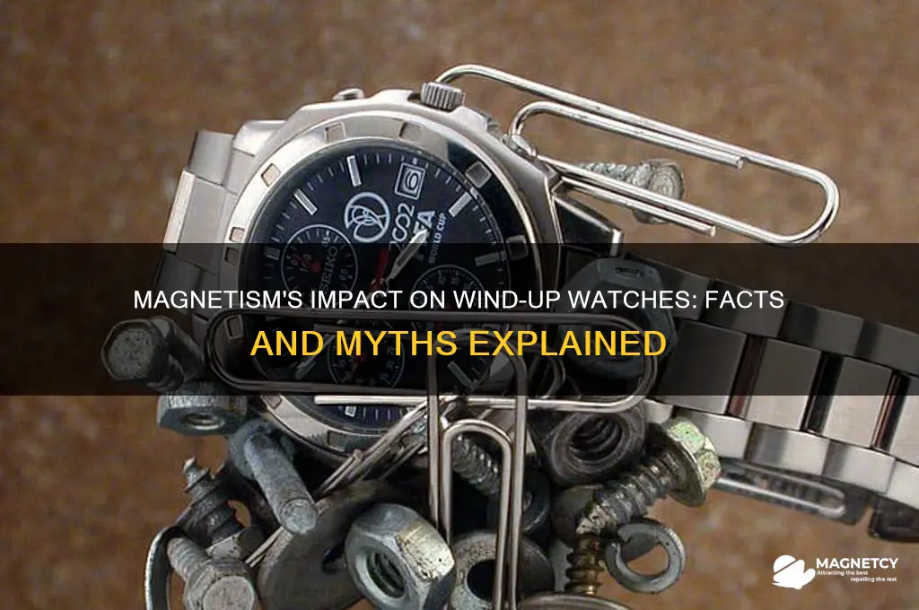 can magnetism affect wind up watch