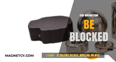 Can Magnetism Be Blocked? Exploring Shielding Materials and Techniques