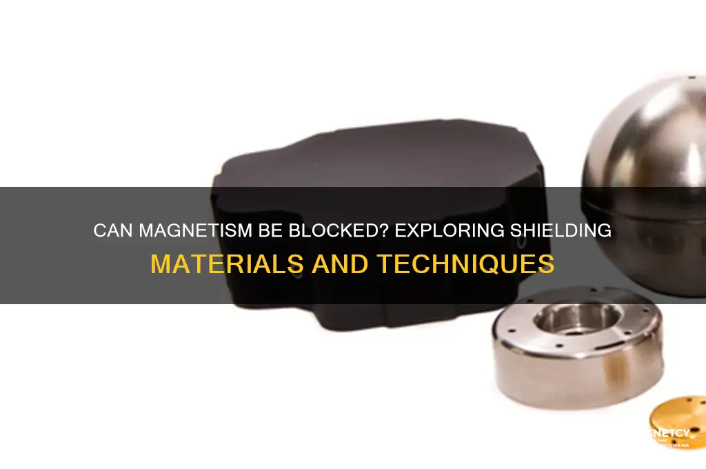 can magnetism be blocked