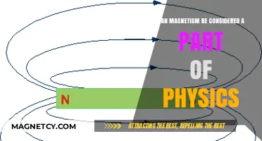 Exploring Magnetism: A Fundamental Force in the Realm of Physics